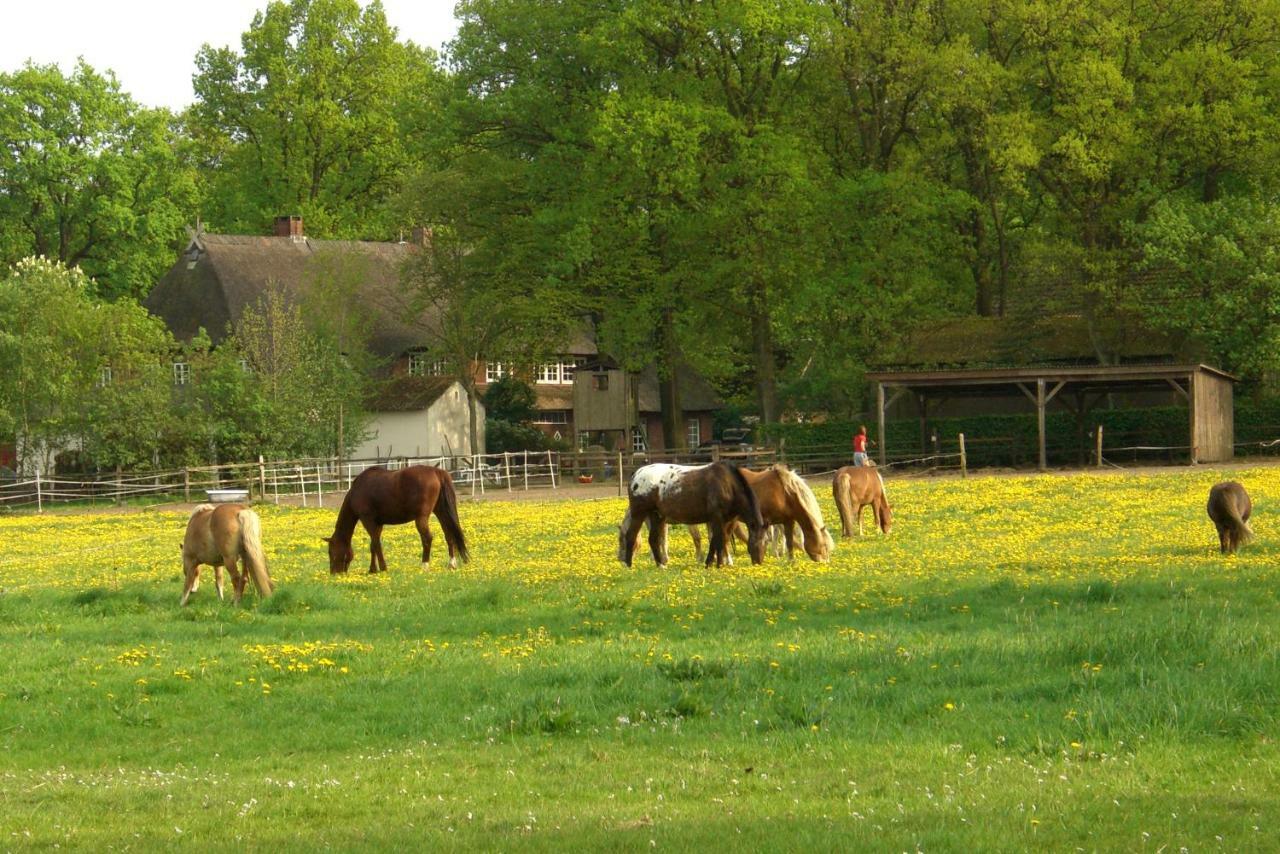 Ferienwohnungen Wulfshof Schneverdingen Exteriör bild